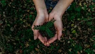 Perché il vapore è la soluzione ideale nelle case con bambini